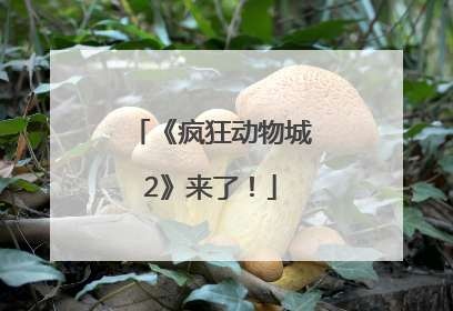 《疯狂动物城2》来了！