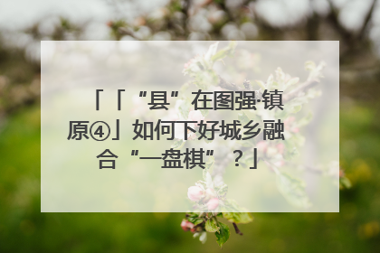 「“县”在图强·镇原④」如何下好城乡融合“一盘棋”？