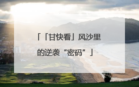 「甘快看」风沙里的逆袭“密码”