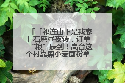 「祁连山下是我家」石磨昼夜转，订单“粮”辰到！高台这个村靠黑小麦面粉拿下成立来最大订单