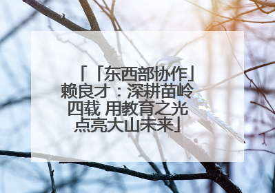 「东西部协作」赖良才：深耕苗岭四载 用教育之光点亮大山未来