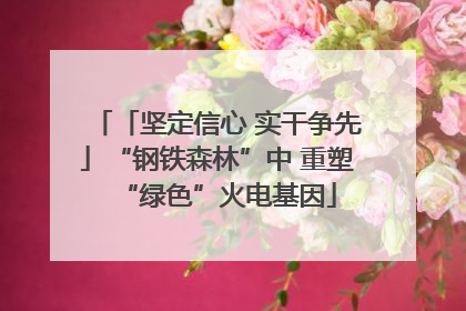 「坚定信心 实干争先」“钢铁森林”中 重塑“绿色”火电基因
