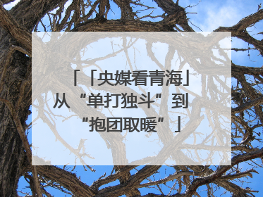 「央媒看青海」从“单打独斗”到“抱团取暖”