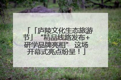 「庐陵文化生态旅游节」“精品线路发布+研学品牌亮相” 这场开幕式亮点纷呈！