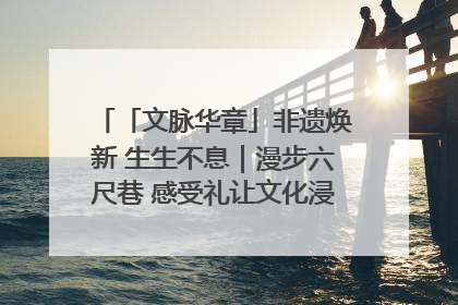 「文脉华章」非遗焕新 生生不息｜漫步六尺巷 感受礼让文化浸润的“巷”往生活
