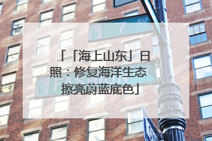「海上山东」日照：修复海洋生态 擦亮蔚蓝底色