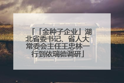 「金种子企业」湖北省委书记、省人大常委会主任王忠林一行到依瑞德调研