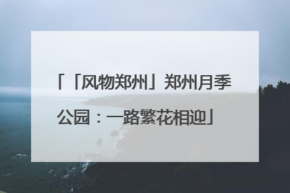 「风物郑州」郑州月季公园：一路繁花相迎