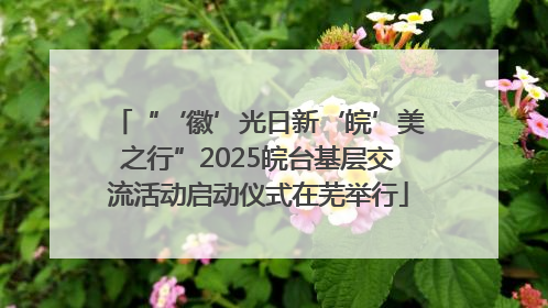 “‘徽’光日新‘皖’美之行”2025皖台基层交流活动启动仪式在芜举行