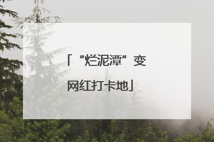 “烂泥潭”变网红打卡地