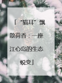“猫耳”飘散荷香：一座江心岛的生态蜕变