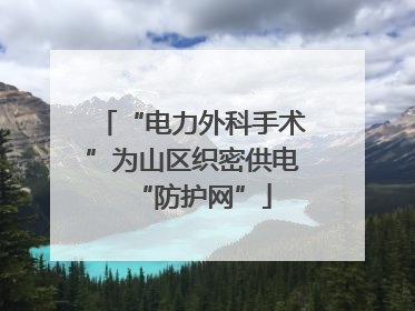 “电力外科手术”为山区织密供电“防护网”