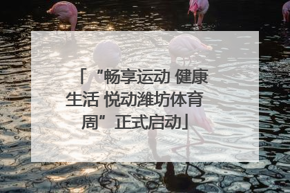“畅享运动 健康生活 悦动潍坊体育周”正式启动