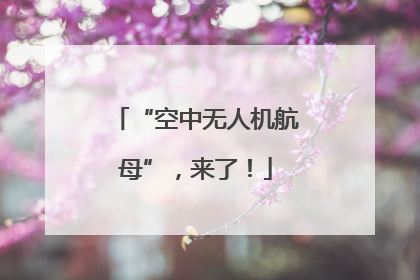 “空中无人机航母”，来了！