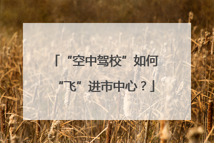 “空中驾校”如何“飞”进市中心？