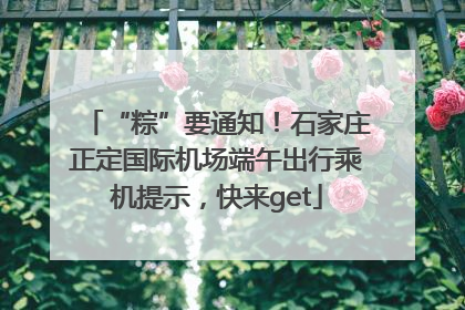 “粽”要通知！石家庄正定国际机场端午出行乘机提示，快来get