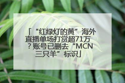 “红绿灯的黄”海外直播单场打赏超71万？账号已删去“MCN三只羊”标识