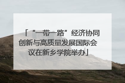 “一带一路”经济协同创新与高质量发展国际会议在新乡学院举办