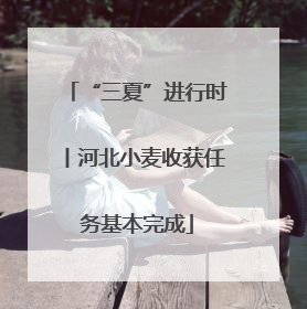 “三夏”进行时丨河北小麦收获任务基本完成