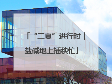 “三夏”进行时｜盐碱地上插秧忙
