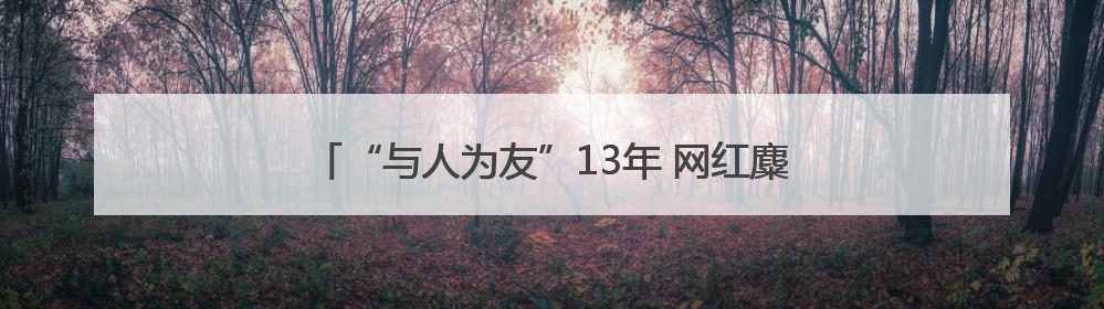 “与人为友”13年 网红麋鹿“点点”已产下8胎幼崽