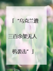“乌克兰遭三百余架无人机袭击”