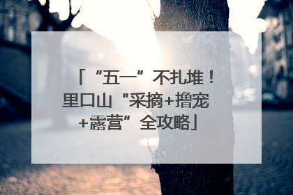 “五一”不扎堆！里口山“采摘+撸宠+露营”全攻略