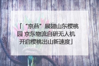 “京燕”展翅山东樱桃园 京东物流自研无人机开启樱桃出山新速度