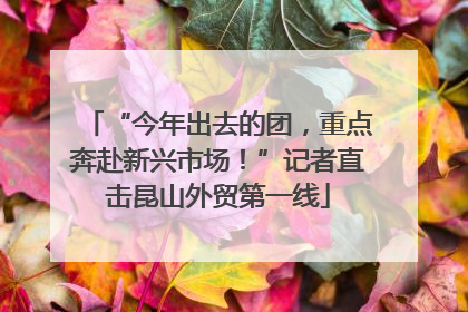 “今年出去的团，重点奔赴新兴市场！”记者直击昆山外贸第一线