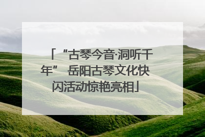“古琴今音·洞听千年” 岳阳古琴文化快闪活动惊艳亮相