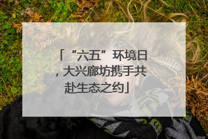 “六五”环境日，大兴廊坊携手共赴生态之约