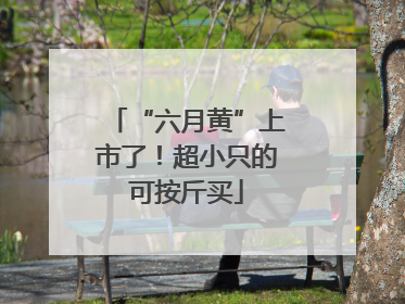 “六月黄”上市了！超小只的可按斤买