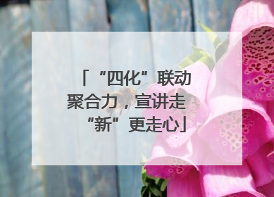 “四化”联动聚合力，宣讲走“新”更走心