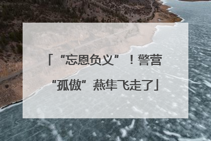 “忘恩负义”！警营“孤傲”燕隼飞走了