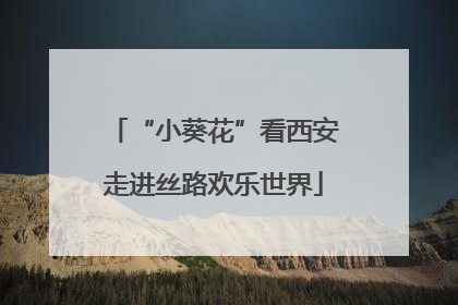 “小葵花”看西安走进丝路欢乐世界