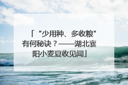 “少用种、多收粮”有何秘诀？——湖北襄阳小麦夏收见闻