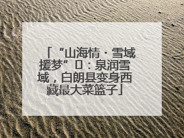“山海情・雪域援梦”⑪：泉润雪域，白朗县变身西藏最大菜篮子
