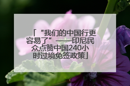 “我们的中国行更容易了”——印尼民众点赞中国240小时过境免签政策
