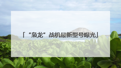 “枭龙”战机最新型号曝光