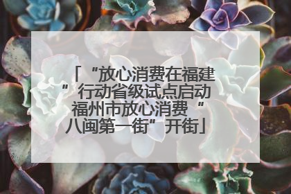 “放心消费在福建”行动省级试点启动 福州市放心消费“八闽第一街”开街