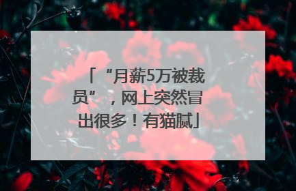 “月薪5万被裁员”，网上突然冒出很多！有猫腻