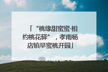 “桃缘甜蜜蜜·相约桃花驿”，孝南杨店镇早蜜桃开园