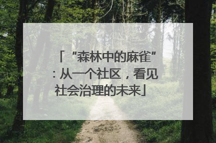 “森林中的麻雀”：从一个社区，看见社会治理的未来
