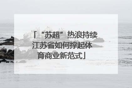 “苏超”热浪持续 江苏省如何撑起体育商业新范式