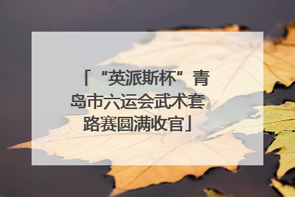 “英派斯杯”青岛市六运会武术套路赛圆满收官