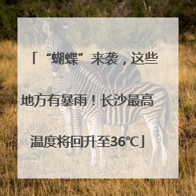 “蝴蝶”来袭，这些地方有暴雨！长沙最高温度将回升至36℃