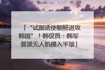 “试图诱使朝鲜进攻韩国”！韩议员：韩军曾派无人机侵入平壤
