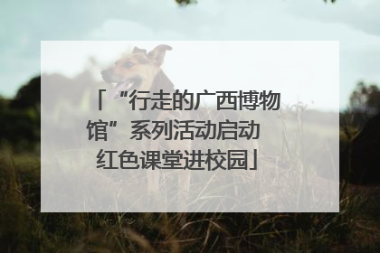 “行走的广西博物馆”系列活动启动 红色课堂进校园
