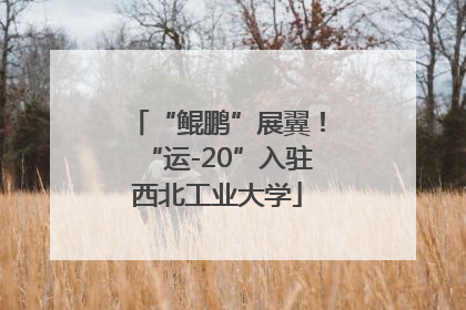 “鲲鹏”展翼！“运-20”入驻西北工业大学