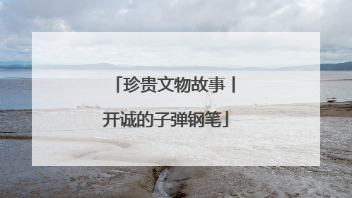 珍贵文物故事丨开诚的子弹钢笔